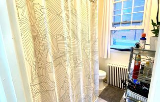 1 bed, 1 bath, 403 sqft, $1,299, Unit WS713A