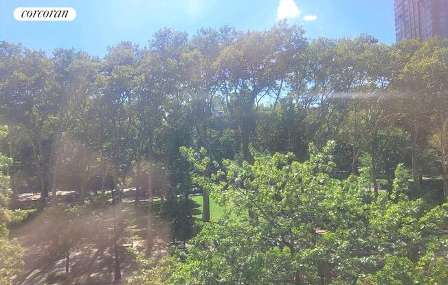 1 bed, 1 bath, $5,500, Unit 4F