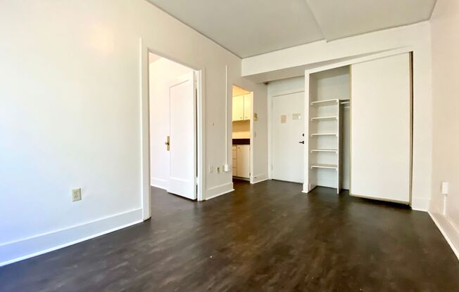1 bed, 1 bath, 351 sqft, $1,295, Unit 505