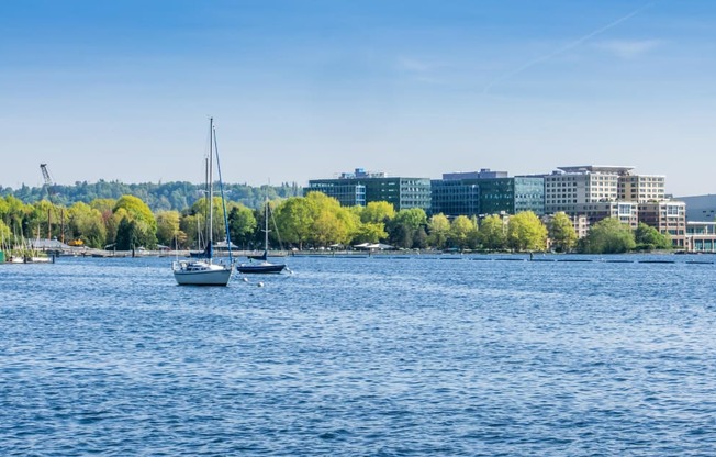 two boats in the water with a city in the background