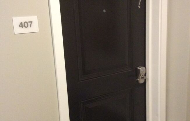 Studio, 1 bath, 575 sqft, $1,425, Unit Unit 407