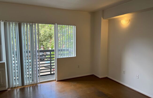 Studio, 1 bath, 400 sqft, $1,200, Unit 305