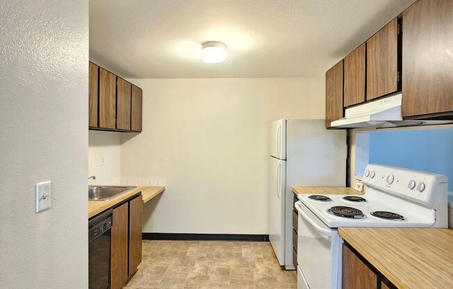 1 bed, 1 bath, 516 sqft, $950, Unit 43