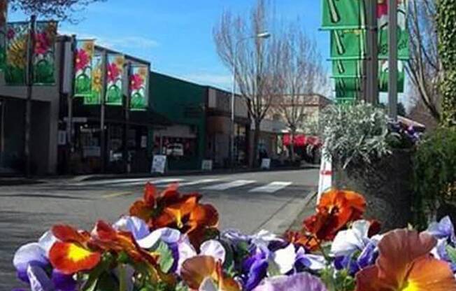 Street with flowers