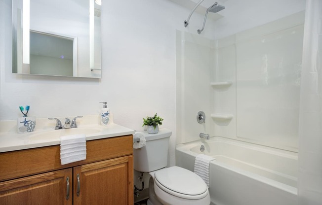 a bathroom with a sink toilet and a bath tub