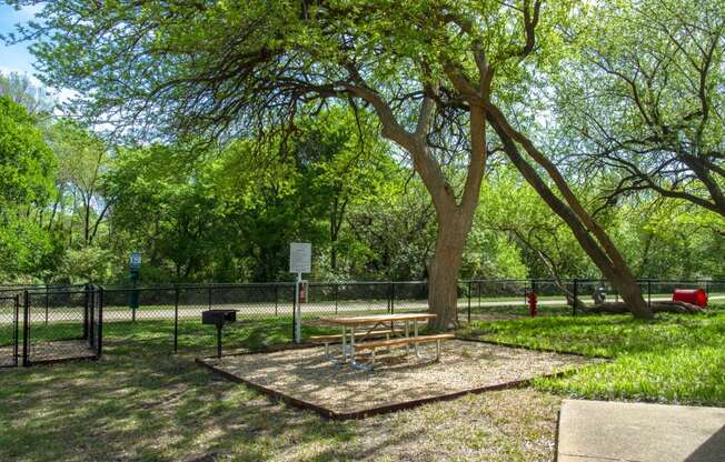 A picnic table with grill by a tree at Chisholm Place Apartments in Plano, TX