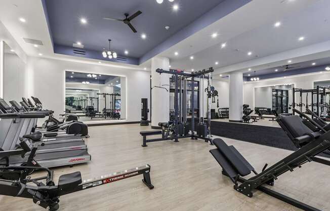 A gym with a variety of equipment including treadmills, weights, and a bench press.