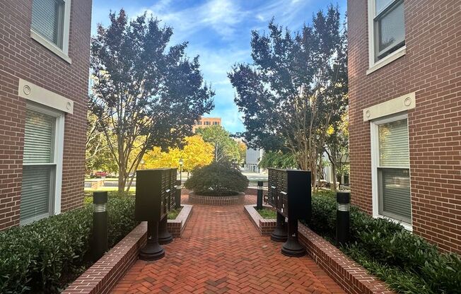 Alexandria/Old Town - 910 Powhatan St - $2,595.00