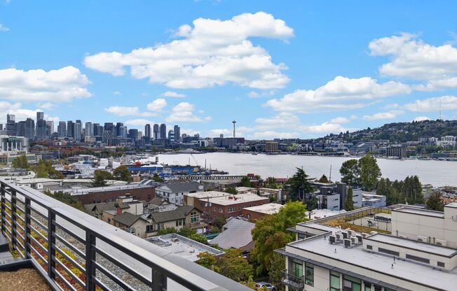1 bed, 1 bath, 466 sqft, $1,595, Unit 203