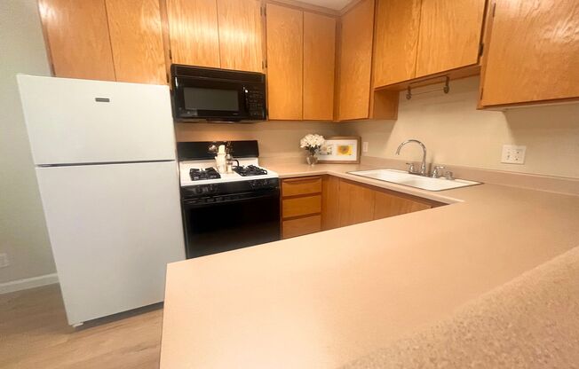 1 bed, 1 bath, 650 sqft, $1,295, Unit 013