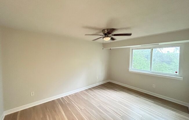 Renovated 1 bdrm, 1 bath Apt