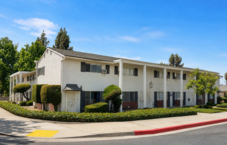 Cypress St. - 474 GOLD
