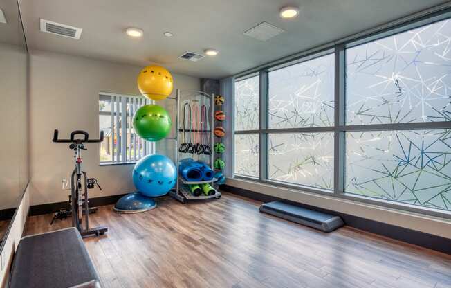 The Merc Apartments Fitness Room and Yoga Balls