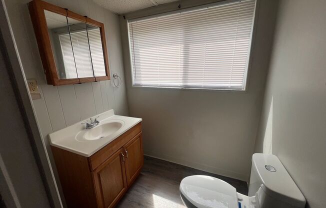 Carnegie - 1 Bedroom 1 Bathroom - Updated Apartment