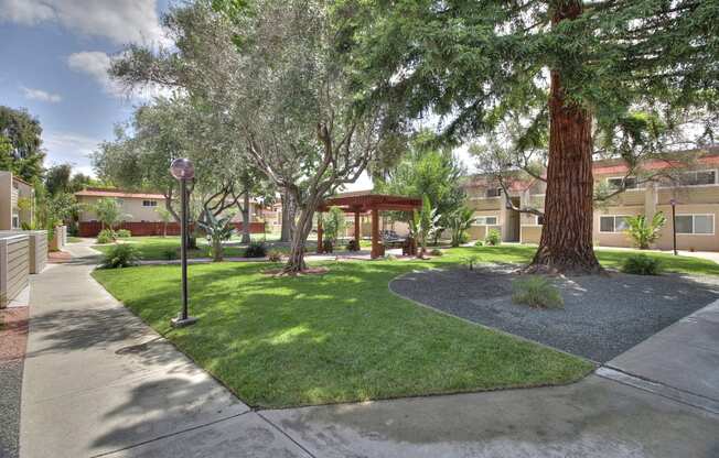 Courtyard With Mature Trees at Casa Alberta Apartments, Sunnyvale, CA