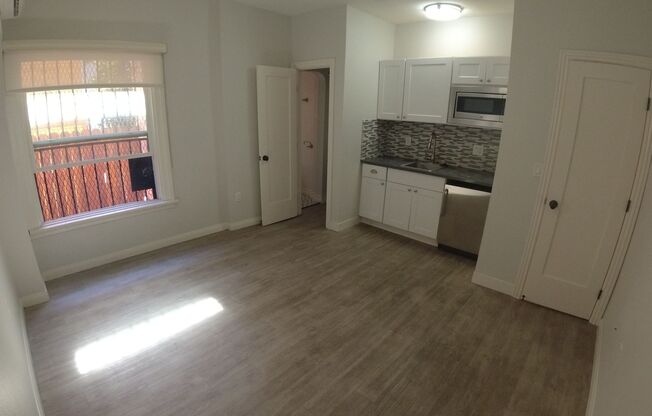 Studio, 1 bath, 220 sqft, $1,245, Unit 102