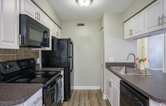 1 bed, 1 bath, 650 sqft, $1,175