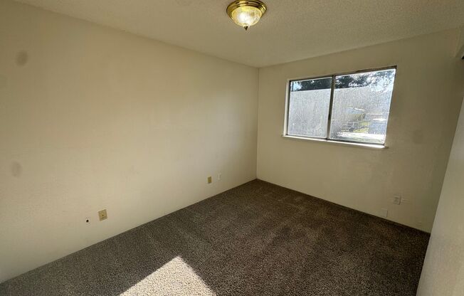 3 beds, 1 bath, $1,600