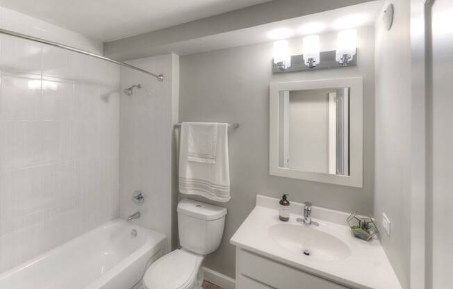 Modern Bathroom Fittings, at Eagle Creek Apartments, Illinois, 60559