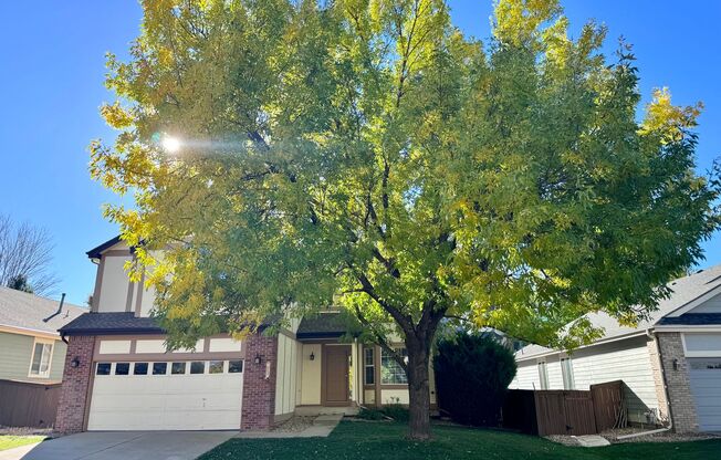 Spacious, Highlands Ranch Home Featuring 4 Upper Level Bedrooms, including Large, Basement Bedroom Suite!  Douglas County Schools!  Mins to SH 470 and Highlands Ranch Parkway!