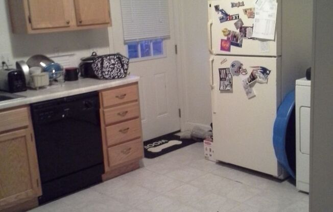 Cheeseplant Apartments