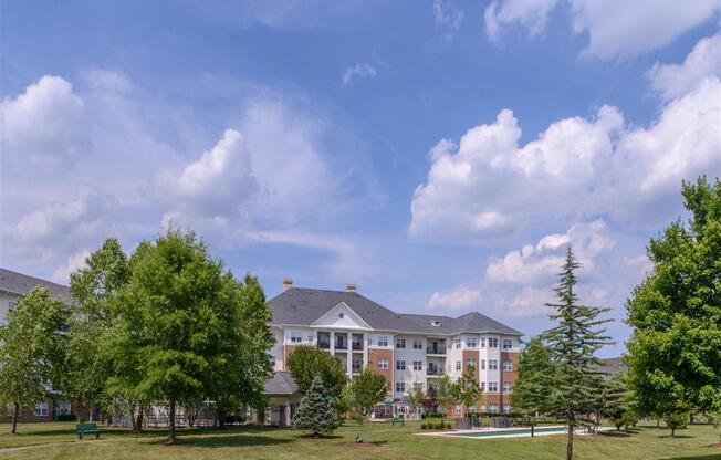 Open Serene Backyard For Outdoor Activities