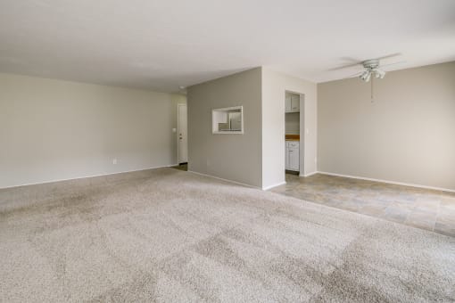 Carpeted Living Area