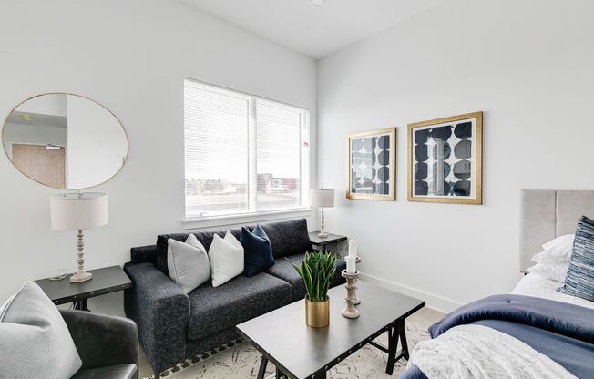 Studio, 1 bath, 357 sqft, $1,215, Unit 207