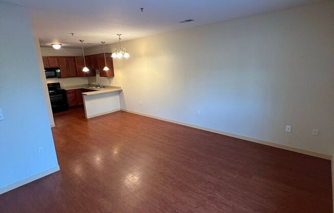 1 bed, 1 bath, 735 sqft, $1,175, Unit 101