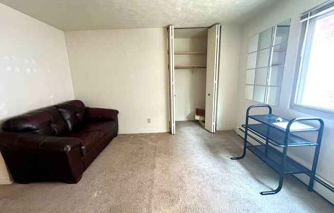 Studio, 1 bath, $750, Unit 317