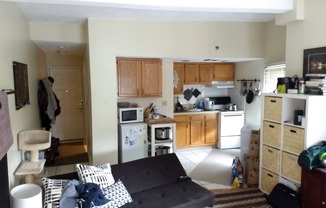 12 Mount Auburn St.