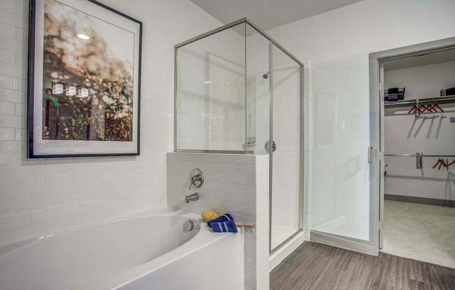 Elegant Master Bathroom