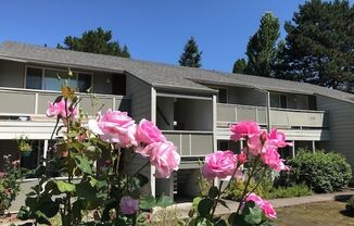 Madrona Apartments, LLC