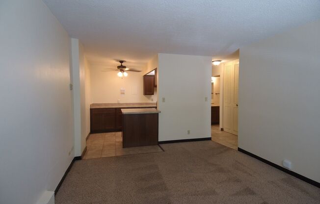 1 bed, 1 bath, 620 sqft, $1,120, Unit 106