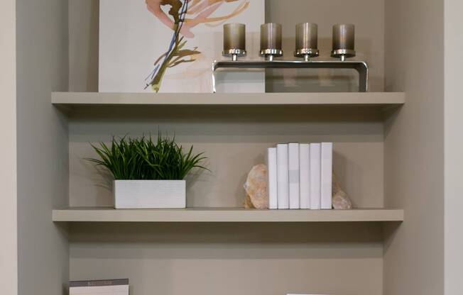 Built-in Bookshelves
