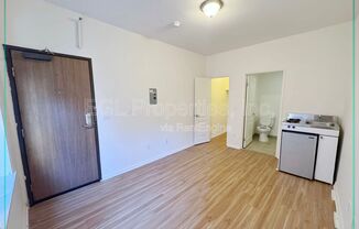 Studio, 1 bath, 350 sqft, $1,189, Unit 214