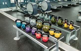 A row of kettlebells in various colors are lined up on a rack in a gym.
