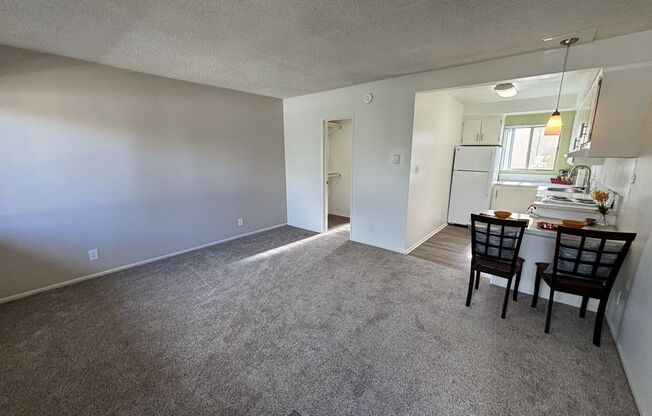 Studio, 1 bath, 345 sqft, $1,525, Unit 43