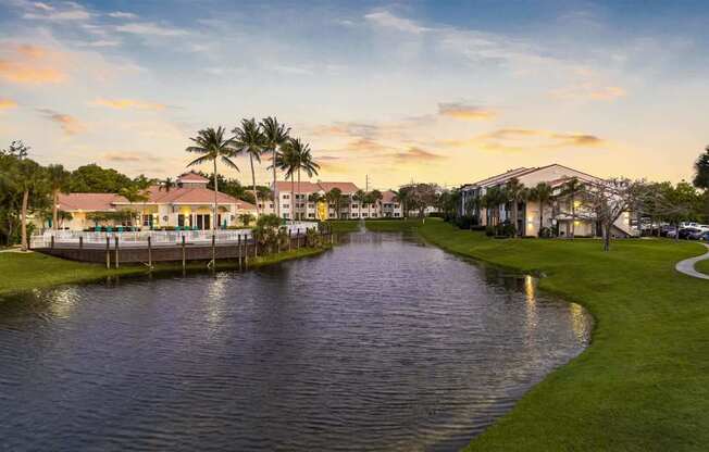 a picture of a river with palm trees