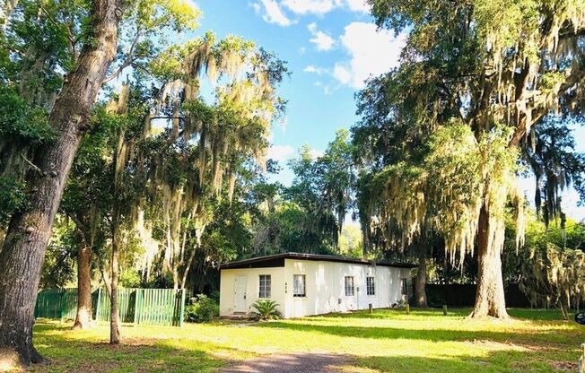 Cozy 1/1 in Orange Park Available Now!