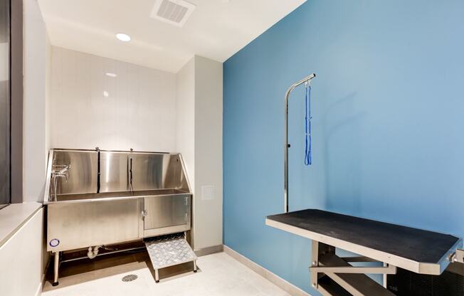 Pet grooming room at The Oxford Apartments, Oxon Hill, 20745