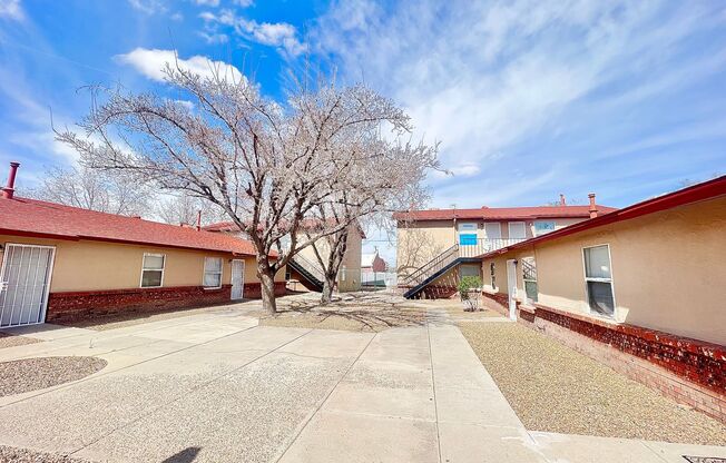 Candelaria (513) - The Nancy Jennings Center