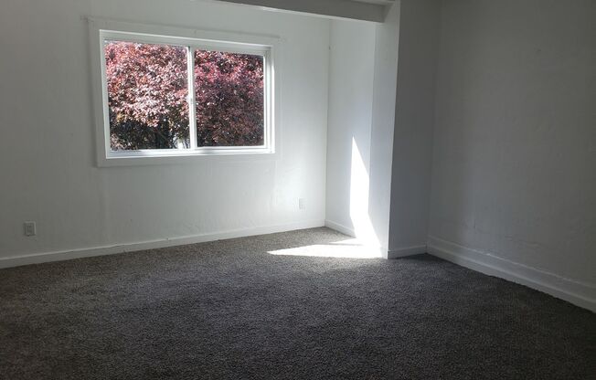 2 beds, 1 bath, $1,250