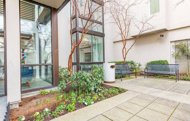 1 bed, 1 bath, 705 sqft, $1,580, Unit 206