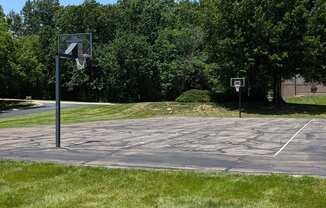 a basketball court in a park with trees