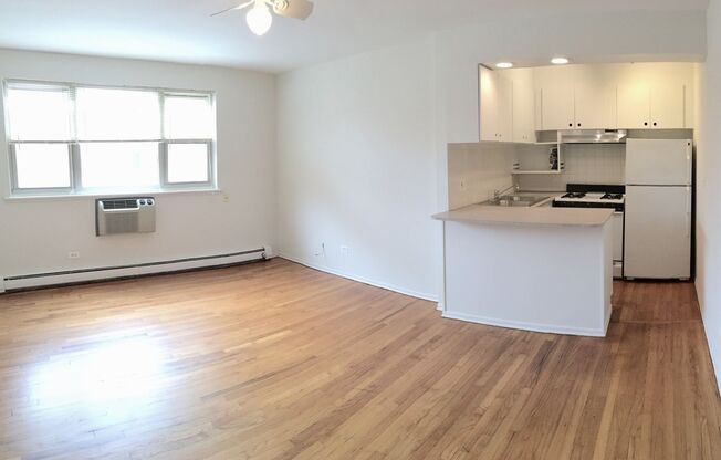 Studio, 1 bath, 334 sqft, $1,195, Unit 506