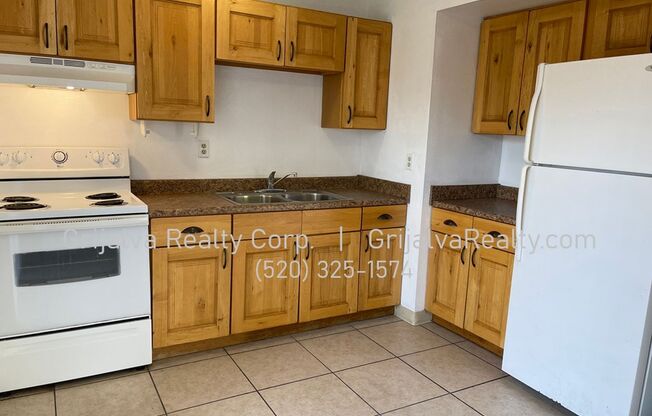 3809 Queen Palm Maintenance