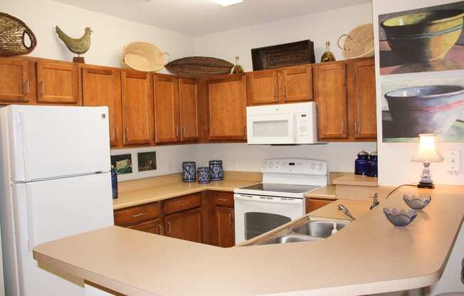 Kitchens With Ample Storage at Villa Valencia Apartments, Orlando, FL, 32825