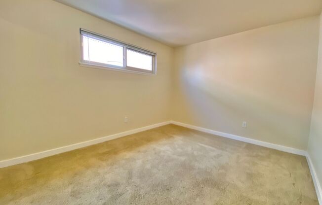 1 bed, 1 bath, 495 sqft, $1,495, Unit 402