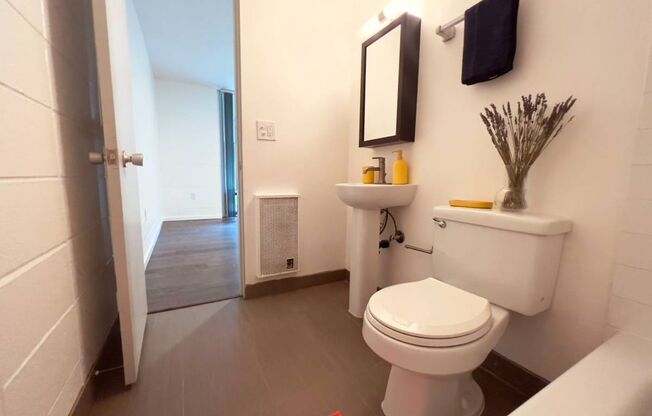 1 bed, 1 bath, 518 sqft, $1,315, Unit 202